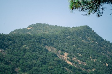 IMGP3634-2