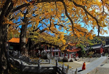 秋到寺院