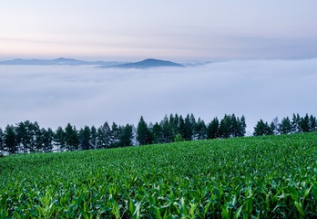 _DSC8114