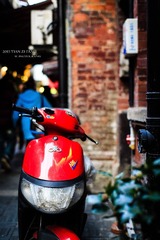 919C8155.jpg