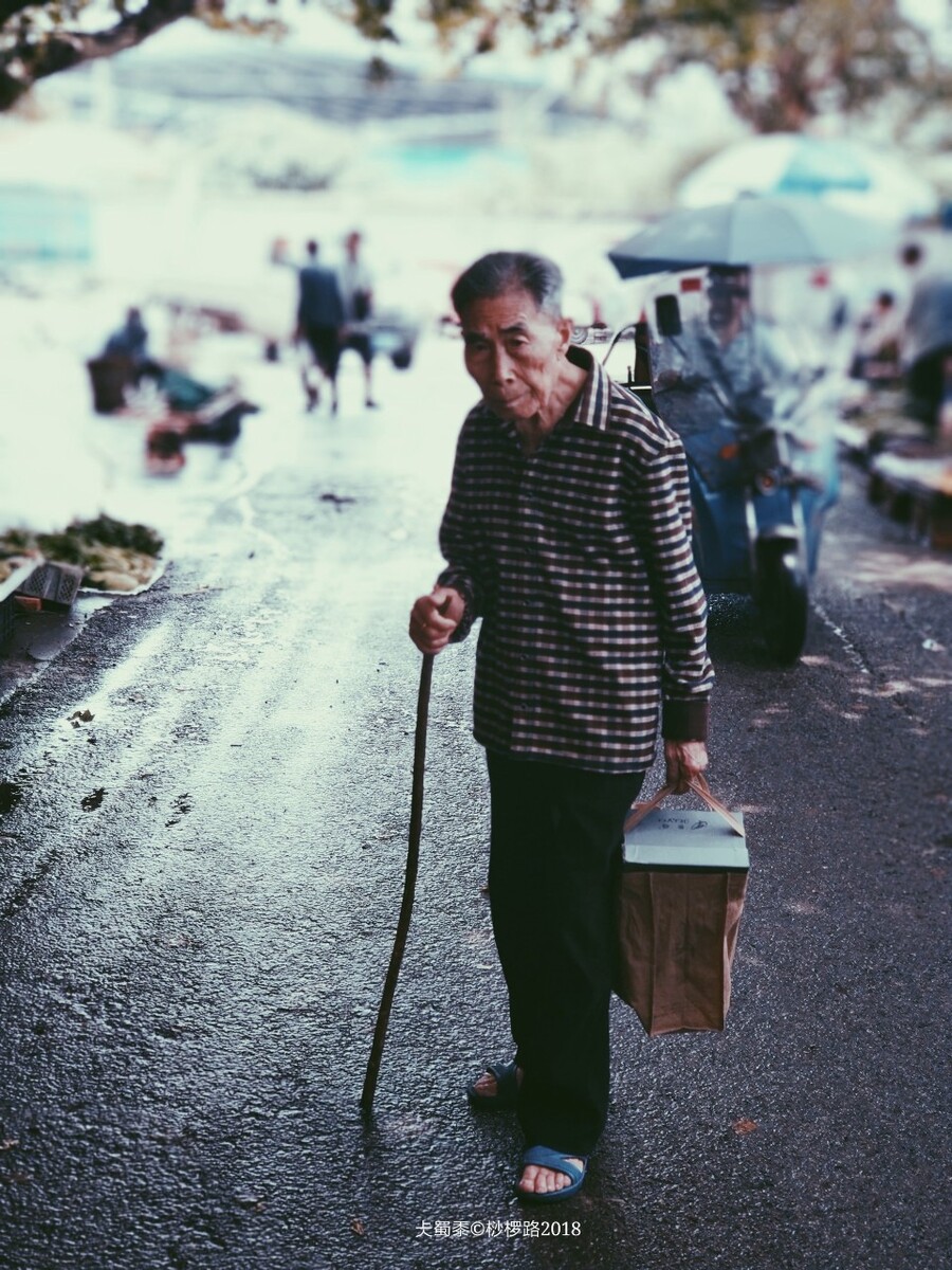 黄金世界中万物法则<br />
你我都一样 终将被遗忘 <br />
你的病也和我的一样 风月难扯 离合不骚<br />
层楼终究误少年 自由早晚乱余生<br />
你我山前没相见 山后别相逢