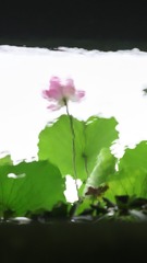 92801407-115F-4730-BE5D-CA9581A763CC/L0/001
