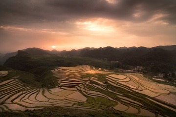 _LXA8821-moody-warm-tuchong