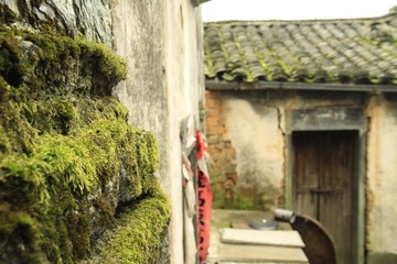 _MG_2730.JPG