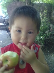 20120705321