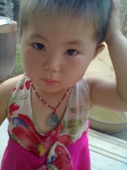 20120706333