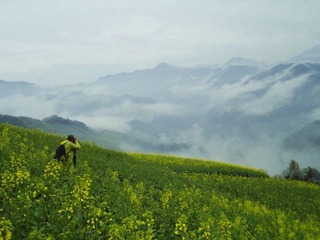 DSC00738a.jpg