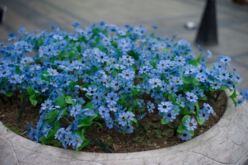 L1006767.jpg