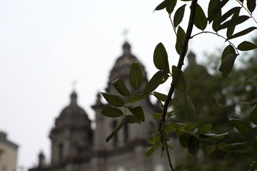 L1006768.jpg