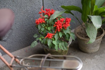 L1006888.jpg