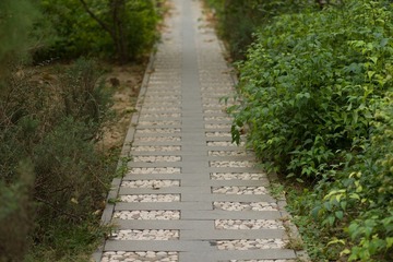 L1006903.jpg