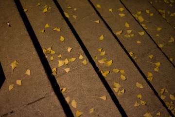 L1006917.jpg