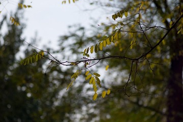 L1006897.jpg