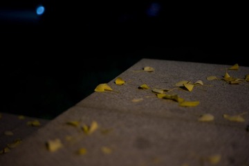L1006927.jpg