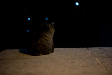 L1007008.jpg