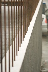 L1007250.jpg