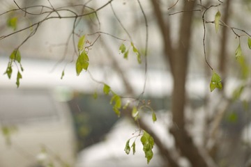 L1007253.jpg