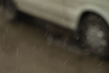 L1007258.jpg
