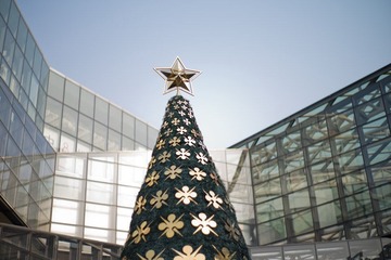 L1007316.jpg