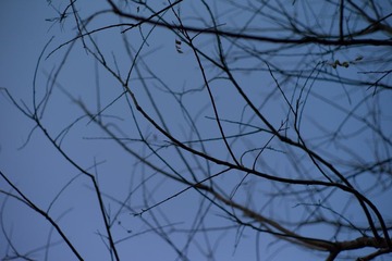L1007355.jpg