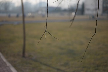 L1007540.jpg