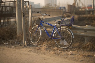 L1007541.jpg