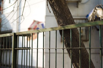 L1007543.jpg