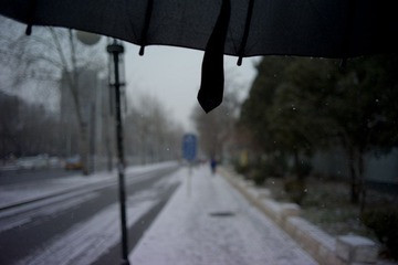 L1007745.jpg
