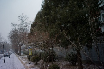 L1007751.jpg