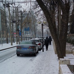 L1007754.jpg