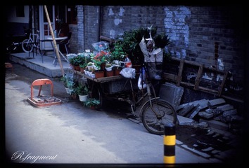 135-IMG12.jpg
