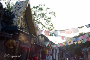 L1001195.jpg