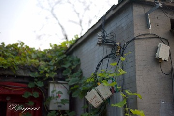 L1001211.jpg