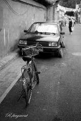 L1001201.jpg