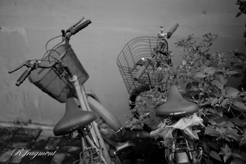 L1001215.jpg
