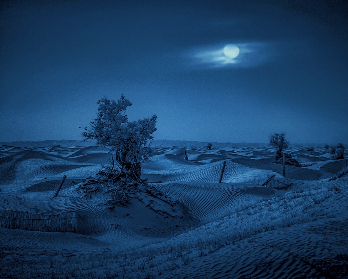 我用图虫玩滤镜thomas·梦幻滤镜冬季冻结的沙漠#月夜还没有人打赏,快