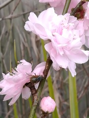 IMG_20160925_131906