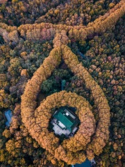 委员长的浪漫