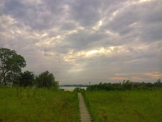 PIC_20150724_180654_24B