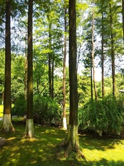 PIC_20150726_113130_9B4