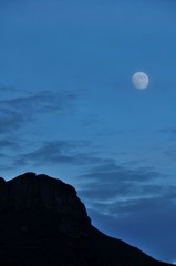 DSC_0150.jpg