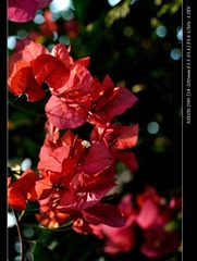 DSC_0164.jpg