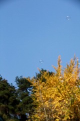 IMG_3824.jpg