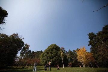 IMG_4027.jpg