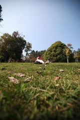 IMG_4035.jpg