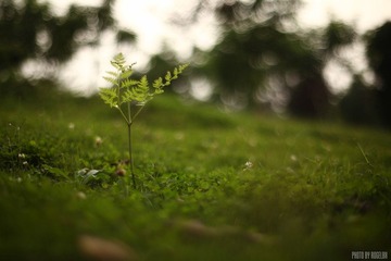 20120325-2.jpg