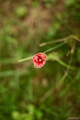 20120325-4-2.jpg