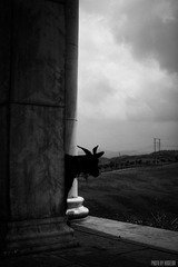 20120708-2-4.jpg
