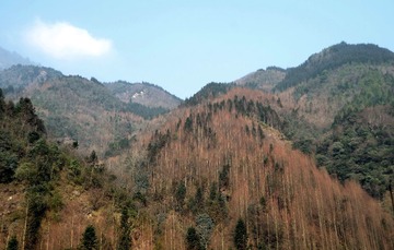 DSC_5739.jpg