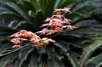 DSC_1630.jpg